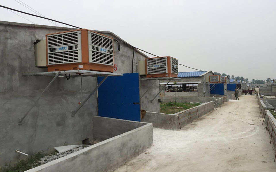 一定要關注！今天正式拉開瑞昌2016養豬場通風降溫旺季序幕！